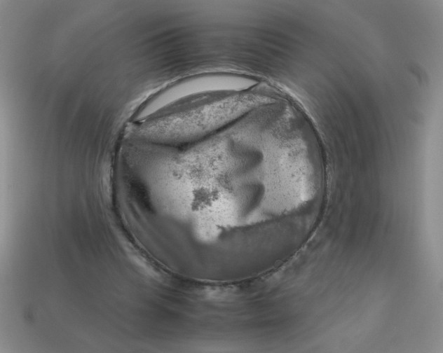 X0000113590345200910091504