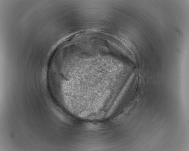 X0000113590346200910091504