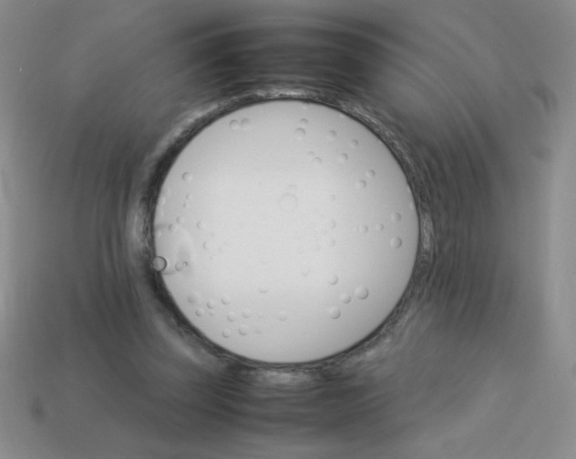 X0000113590347200910091504