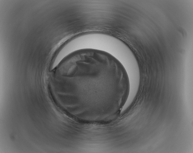 X0000113590348200910091504