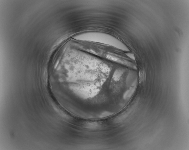 X0000113590349200910091504