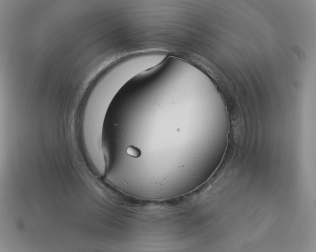 X0000113590350200910091504