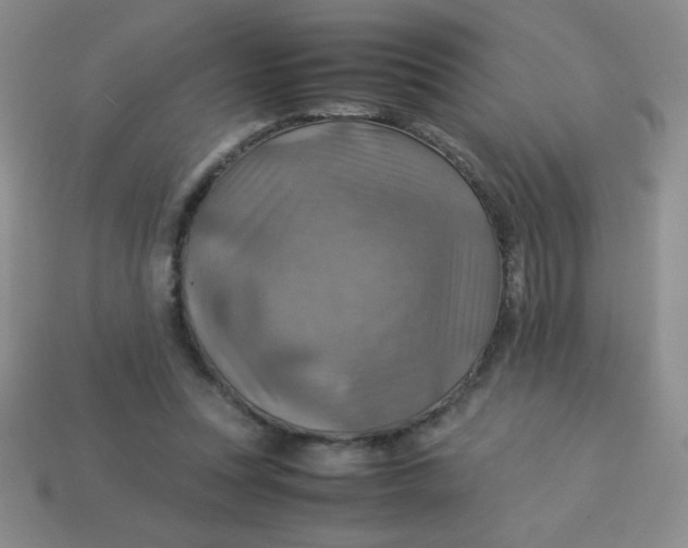 X0000113590351200910091504