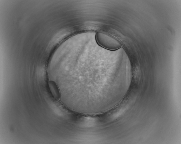 X0000113590352200910091504