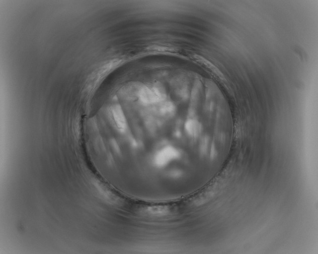 X0000113590353200910091504