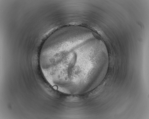 X0000113590354200910091504