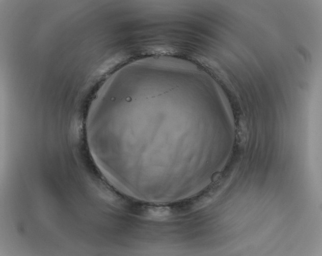 X0000113590355200910091504