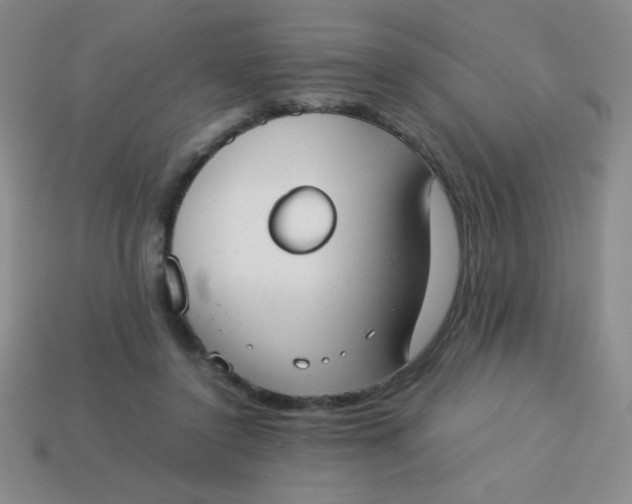 X0000113590356200910091504