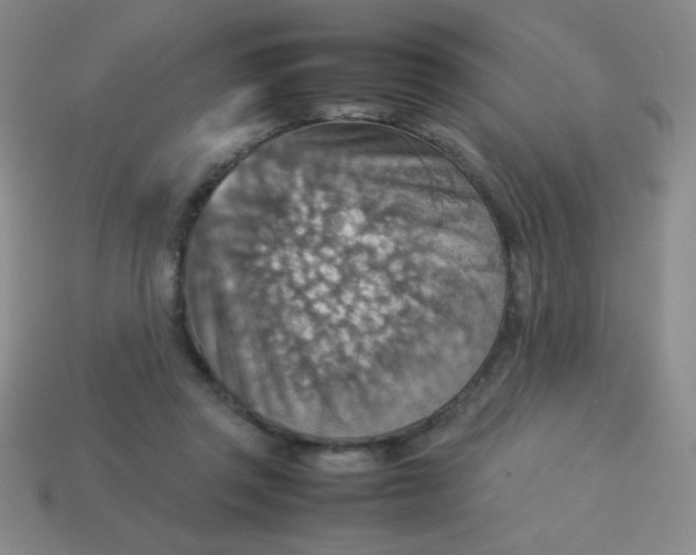 X0000113590357200910091504