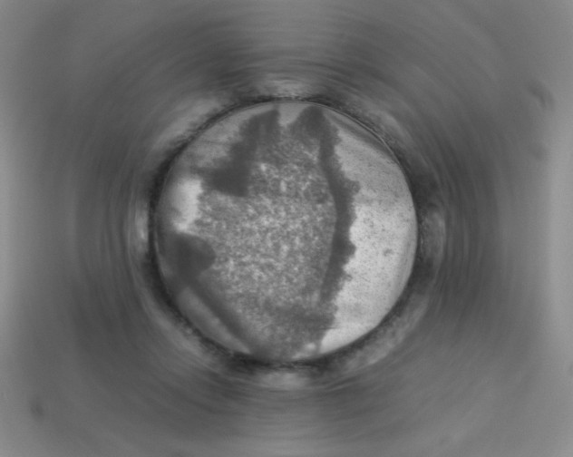 X0000113590358200910091504