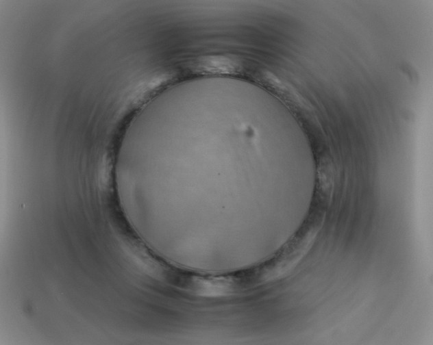 X0000113590359200910091504