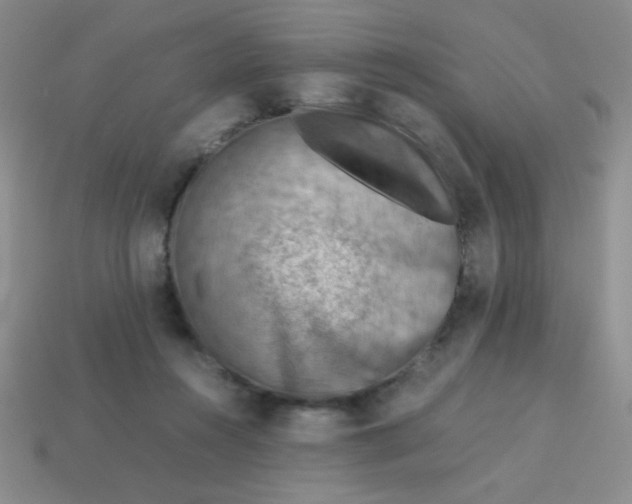 X0000113590360200910091504