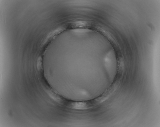 X0000113590361200910091504