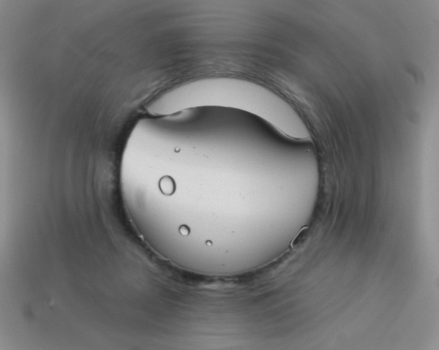 X0000113590362200910091504