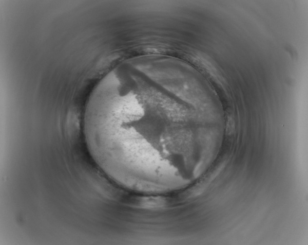 X0000113590363200910091504