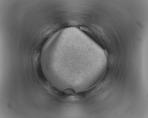 X0000113590364200910091504