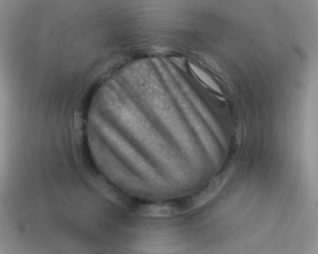 X0000113590366200910091504