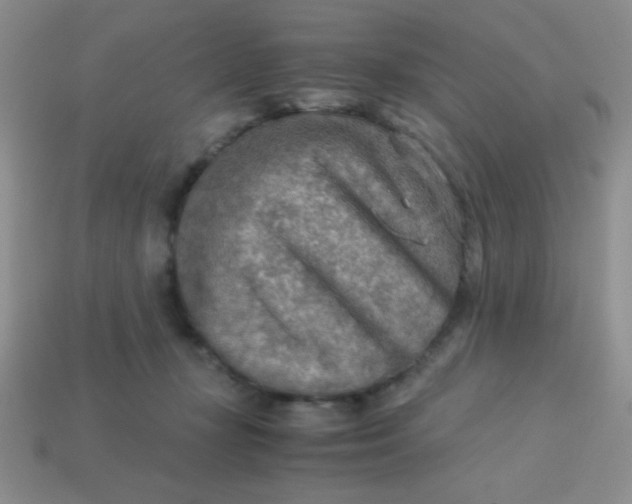 X0000113590367200910091504