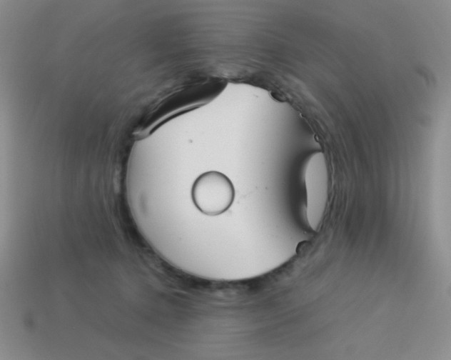 X0000113590368200910091504