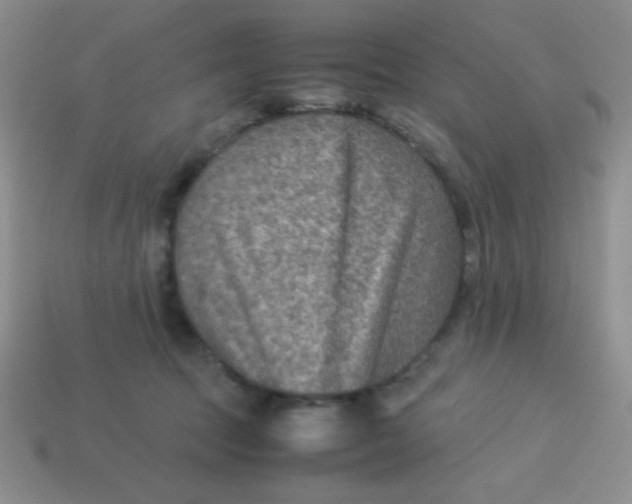 X0000113590369200910091504