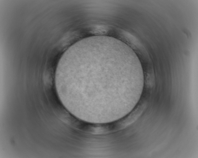 X0000113590370200910091504