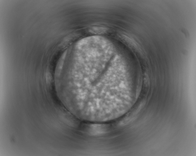 X0000113590371200910091504