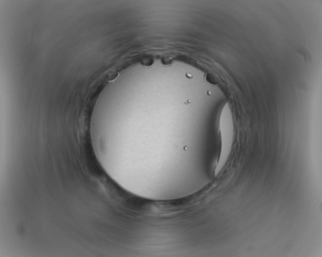 X0000113590372200910091504