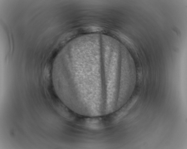 X0000113590373200910091504