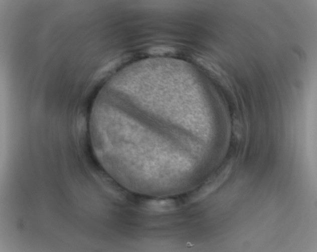 X0000113590375200910091504