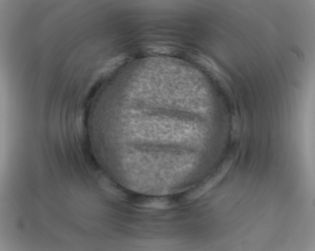 X0000113590377200910091504