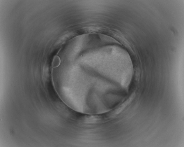 X0000113590378200910091504