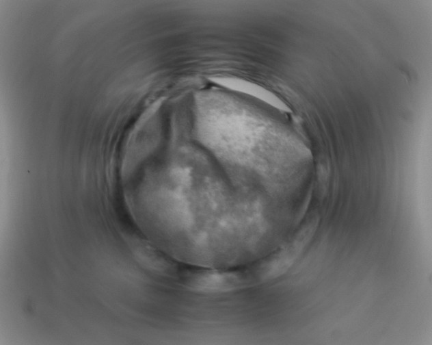 X0000113590379200910091504