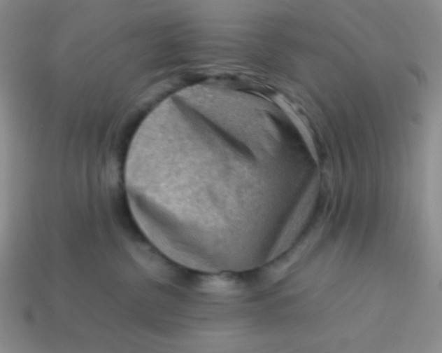 X0000113590380200910091504