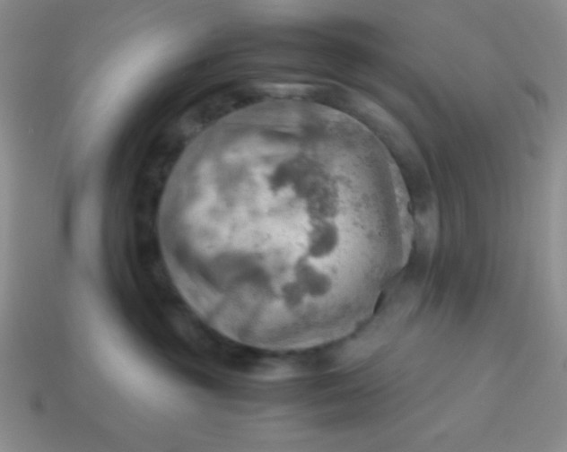 X0000113590381200910091504