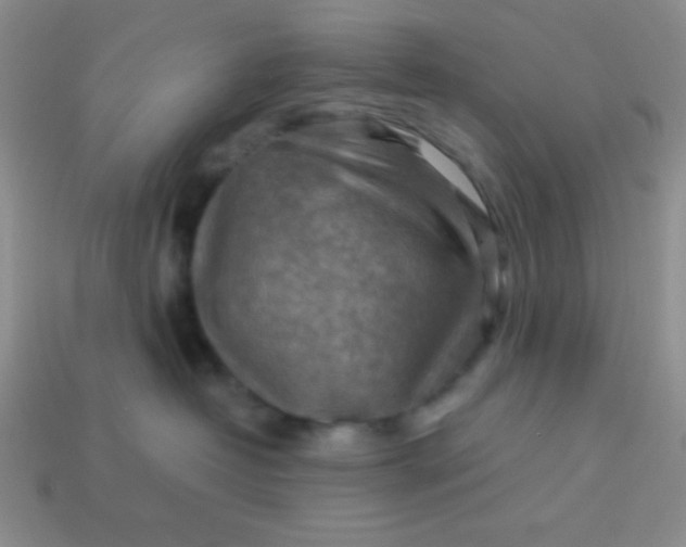 X0000113590382200910091504