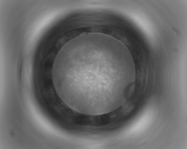 X0000113590383200910091504