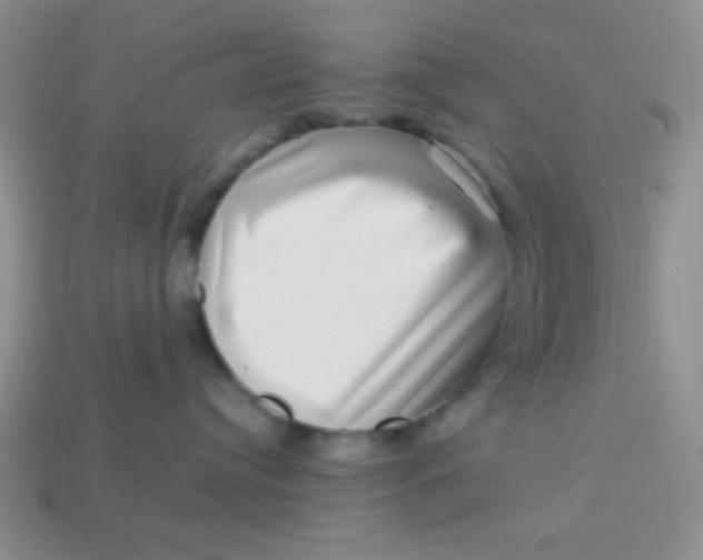 X0000113590384200910091504