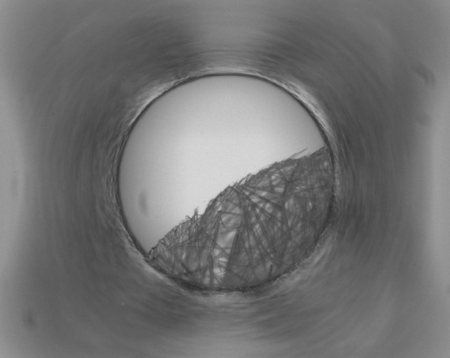 X0000113590385200910091504