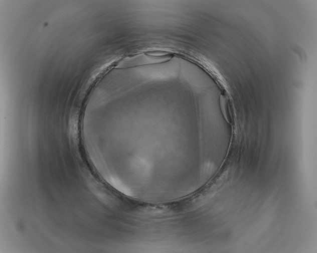 X0000113590386200910091504