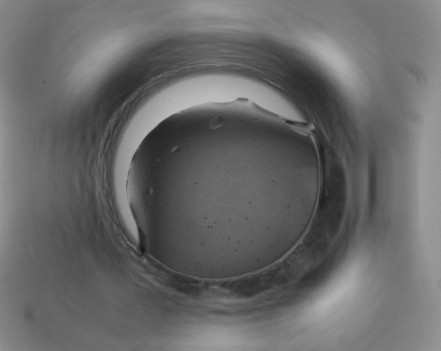 X0000113590387200910091504