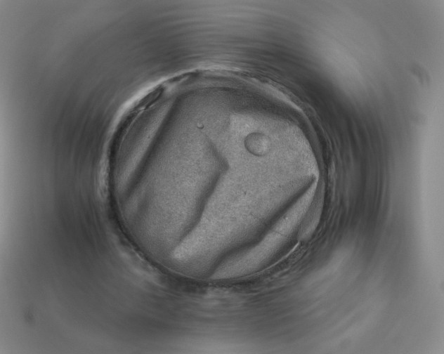 X0000113590388200910091504