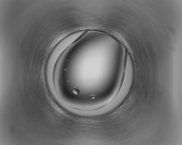 X0000113590389200910091504