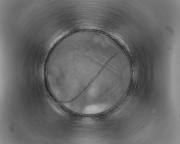 X0000113590390200910091504