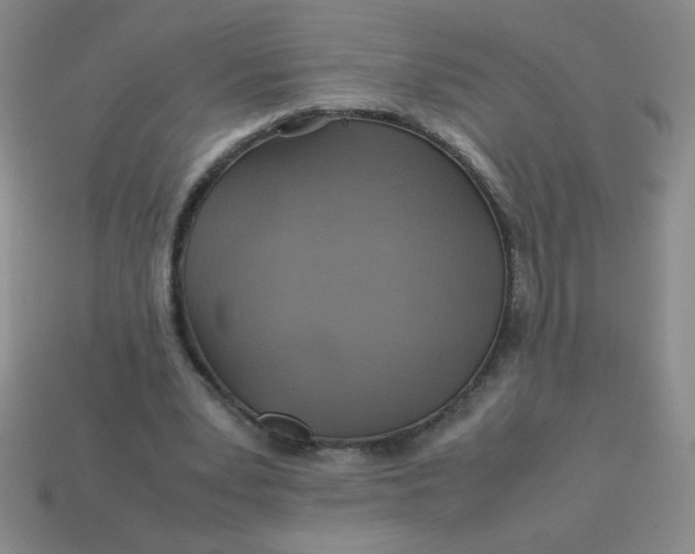 X0000113590391200910091504