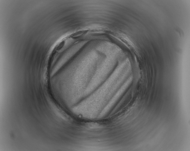 X0000113590392200910091504