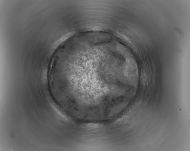 X0000113590394200910091504