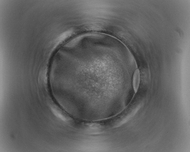 X0000113590395200910091504