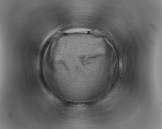 X0000113590396200910091504