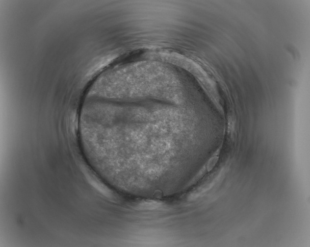 X0000113590397200910091504