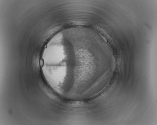 X0000113590398200910091504